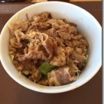 すき家の牛丼ライトと運動と。。